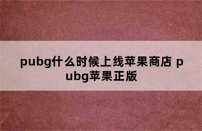 pubg什么时候上线苹果商店 pubg苹果正版